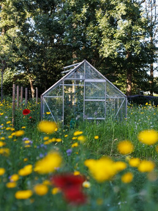 TuinenVanHende_229.jpg